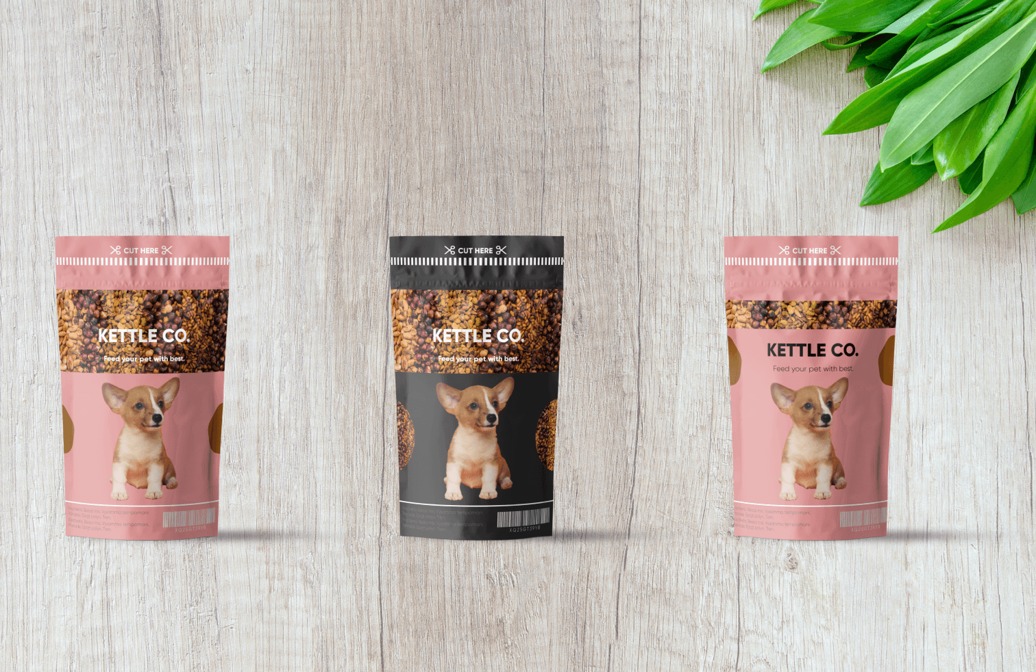 Packaging Design